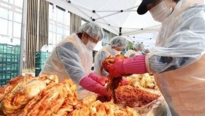 韩国大白菜价格飙升背后的故事：一颗白菜如何卖到37元人民币？