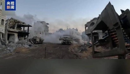 以军宣布：奥萨马·加尼姆被打死