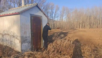 “砰”！内蒙古一地警方果断开枪击毙一失控“疯牛”！