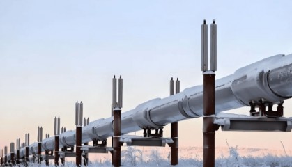 俄开辟“第二战线”？泽连斯基万没料到，此国总理发声怒斥：我不是你仆人