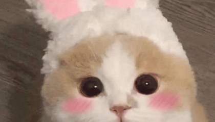 痔疮之痛与重生之路