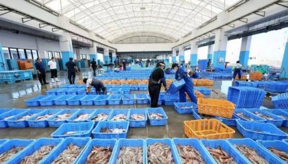 石破茂让全世界吃惊！日本突然做出承诺，中方把话说透，美方绝没料到