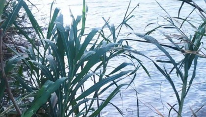 福建15岁男孩因早恋被女生家长扇耳光后失联，当地：已溺水身亡