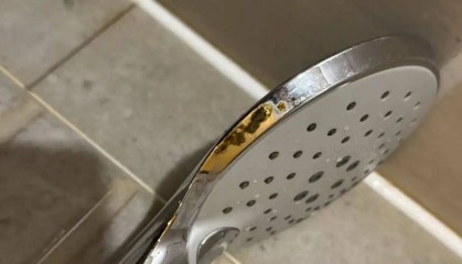 女子入住知名连锁酒店，洗完澡发现花洒上有粪便？酒店方回应