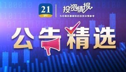 公告精选丨6天5板红宝丽：第一季度净利润同比下降24%；比亚迪：2024年度拟10送8转12派39.74元