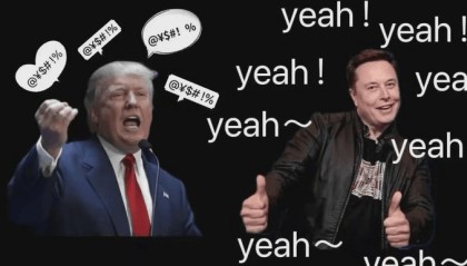 yeah~爆仓、暴跌、减半没有大牛市？百倍币，得配得上！