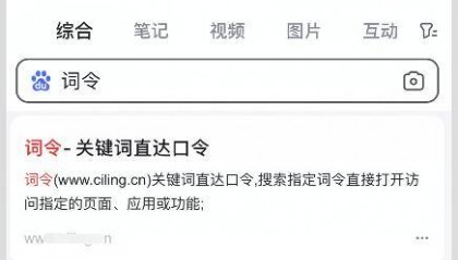 「词令直达」手机上网页版小红书薯币充值中心官方入口