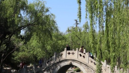 现在报团去北京旅游六日游多少钱一个人？现在报团去北京六日游多少钱人民币