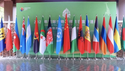 生态环境部：昆明生物多样性基金预计启动，今年将安排5000万元人民币