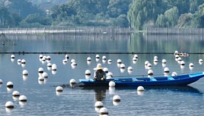 全球农业文化遗产上新，为何是它们？