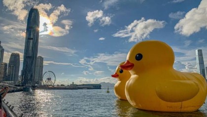 报团去港澳旅游3天大概多少人民币？舒适！去港澳旅游手机需要开通什么？