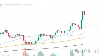 PEPE涨幅达175%，创下历史新高，能否冲击200%？ETF 推动Meme币爆发式增长