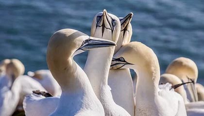 普京宣布与特朗普彻底决裂,美俄关系急转直下