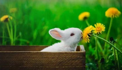 铜价下跌!今日电解铜价格行情(2024年7月17日)