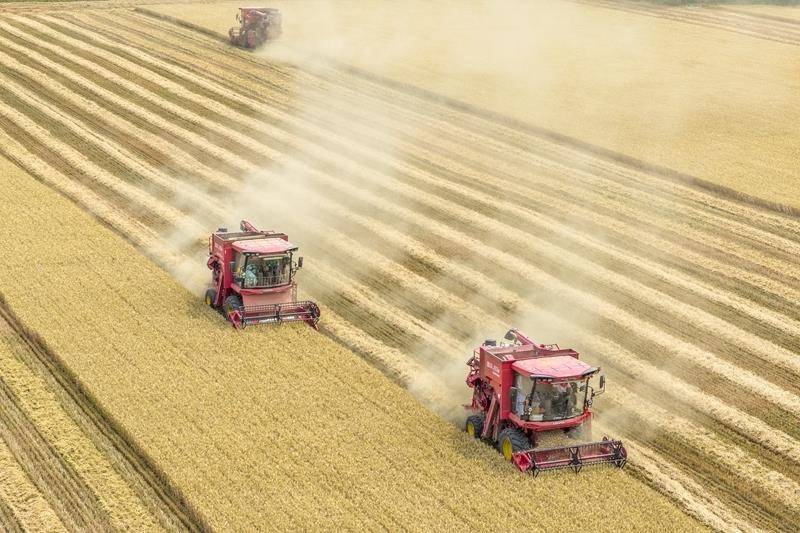 时政微观察丨丰收时节感悟总书记的“三农”情怀