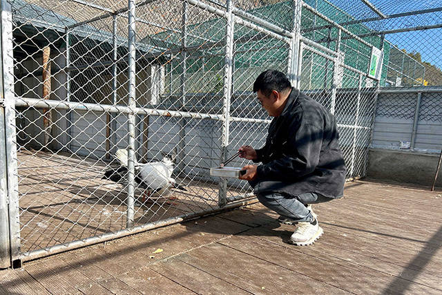 内蒙古阿荣旗:林海深处的“生命驿站”