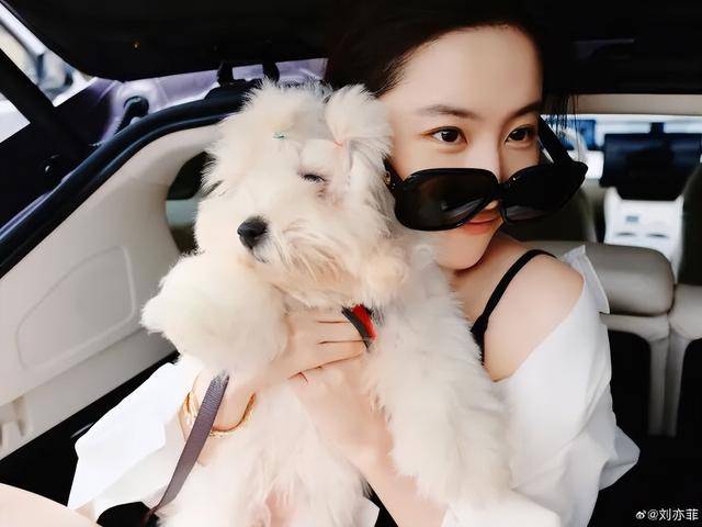 刘亦菲晒与新狗狗合照，穿白衬衫戴墨镜清爽出游