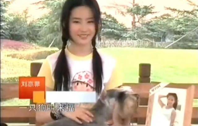 刘亦菲晒与新狗狗合照，穿白衬衫戴墨镜清爽出游