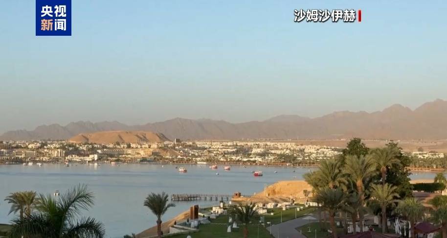 哈马斯、普京最新发声!