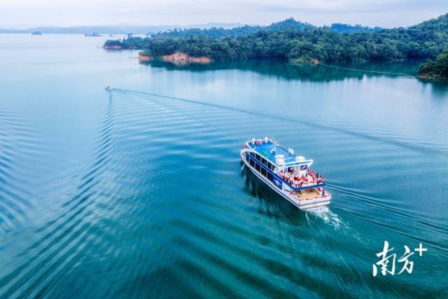 文化中国行·寒露 | 枫艳菊黄岭南秋,蔗熟姜香岁物收