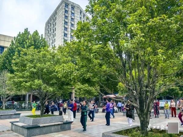 满城都是甜甜的！不要捡，不要吃！