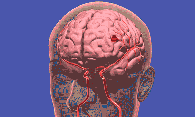 这个国庆,荆州火了! / “荆州,我们还来!”