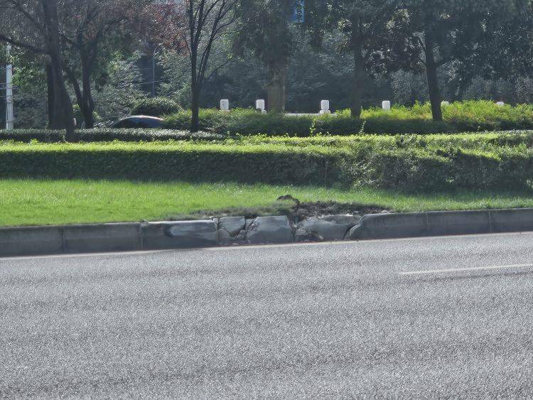 成都发生一起严重交通事故，上游新闻实地探访：燃烧留下的印记仍在