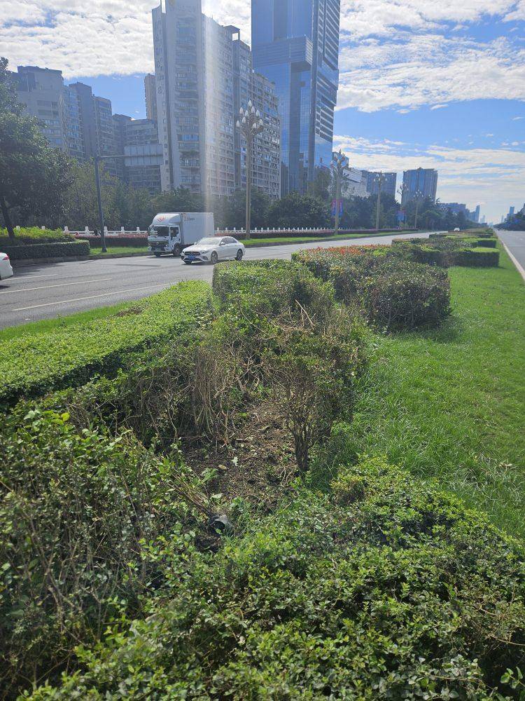 成都发生一起严重交通事故，上游新闻实地探访：燃烧留下的印记仍在