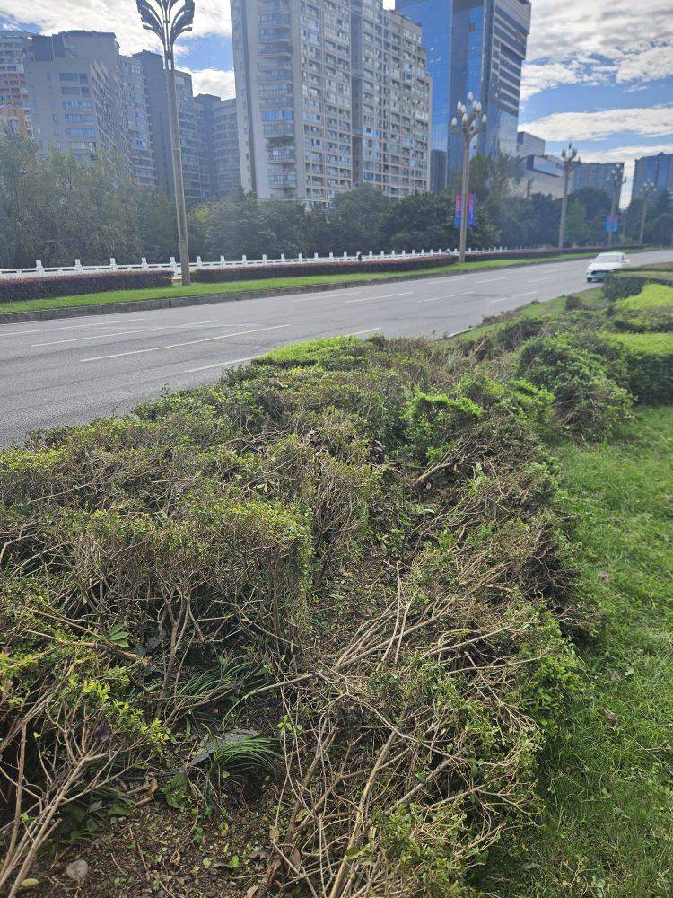 成都发生一起严重交通事故，上游新闻实地探访：燃烧留下的印记仍在