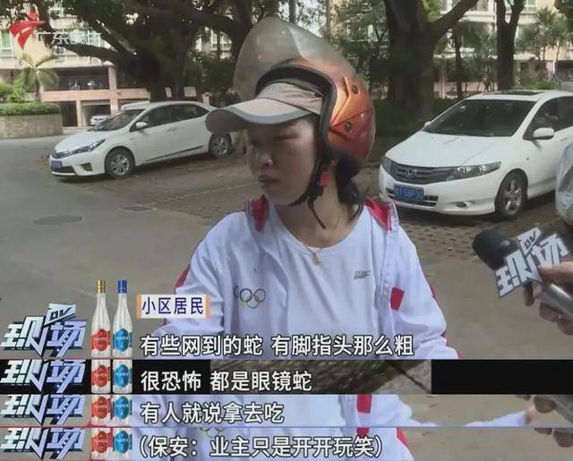 广州一小区2年抓到超60条蛇？业主：家里来过两三条，物业回应