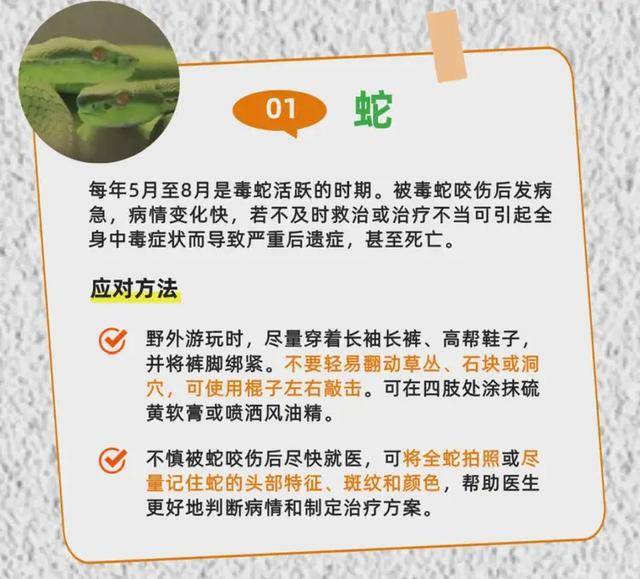 广州一小区2年抓到超60条蛇？业主：家里来过两三条，物业回应
