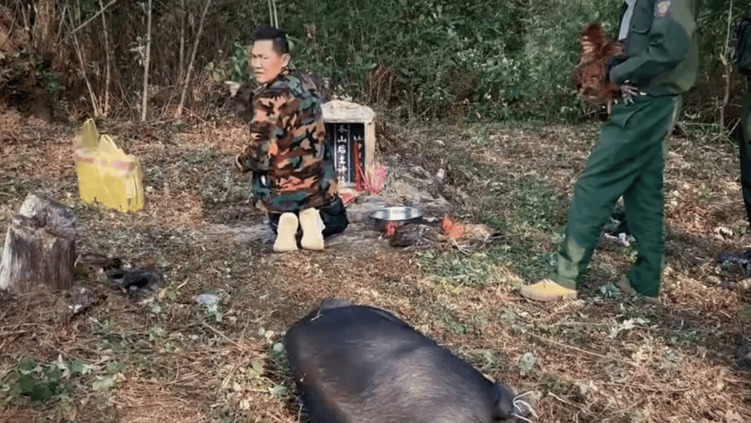 公安机关侦破缅北果敢徐老发犯罪集团专案,详情披露!