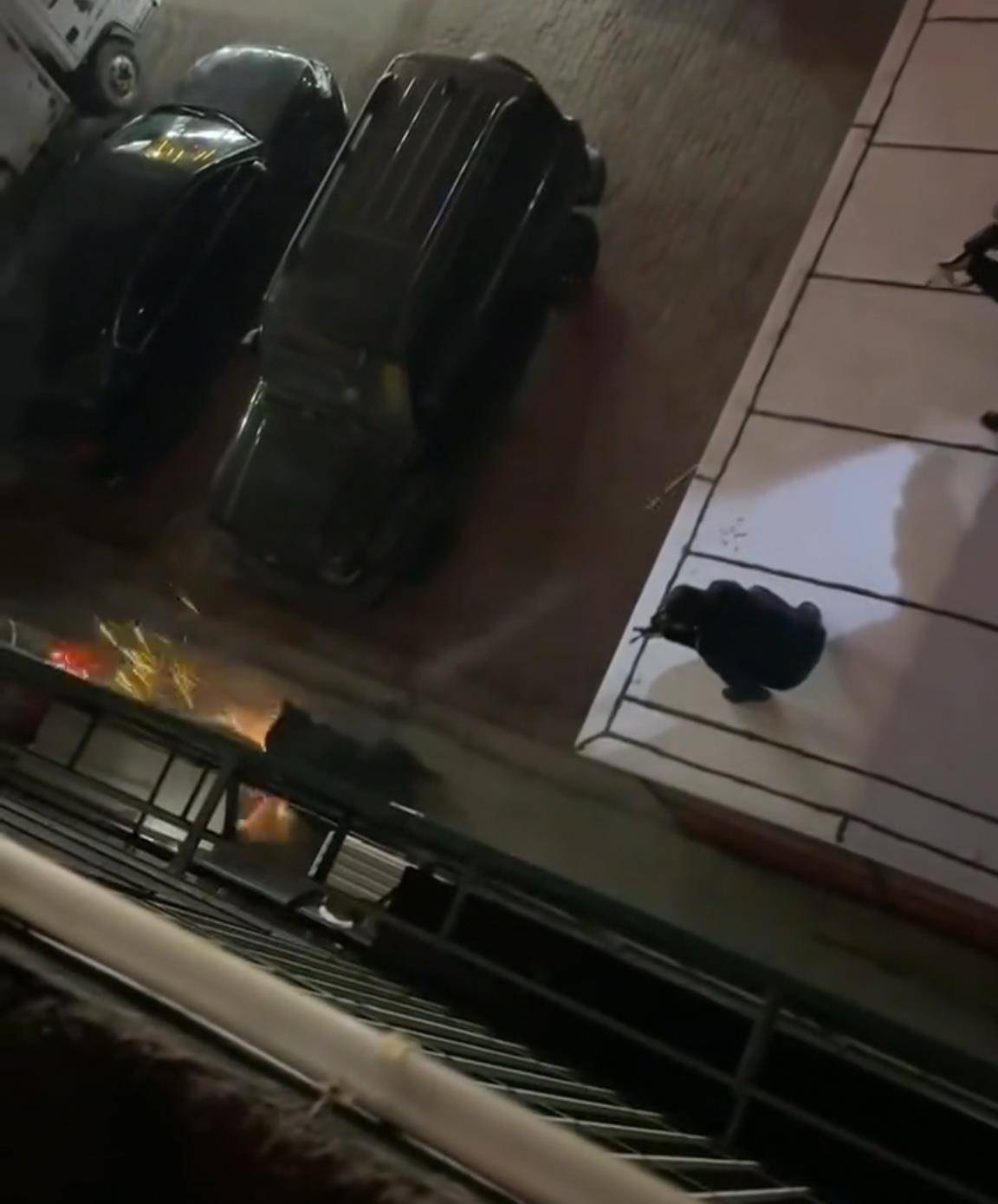 大黑熊夜里独闯黑龙江一县城闹市区,警方连开10多枪击毙,回应为何没用麻醉枪